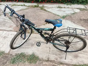 12 Speed Bicycle