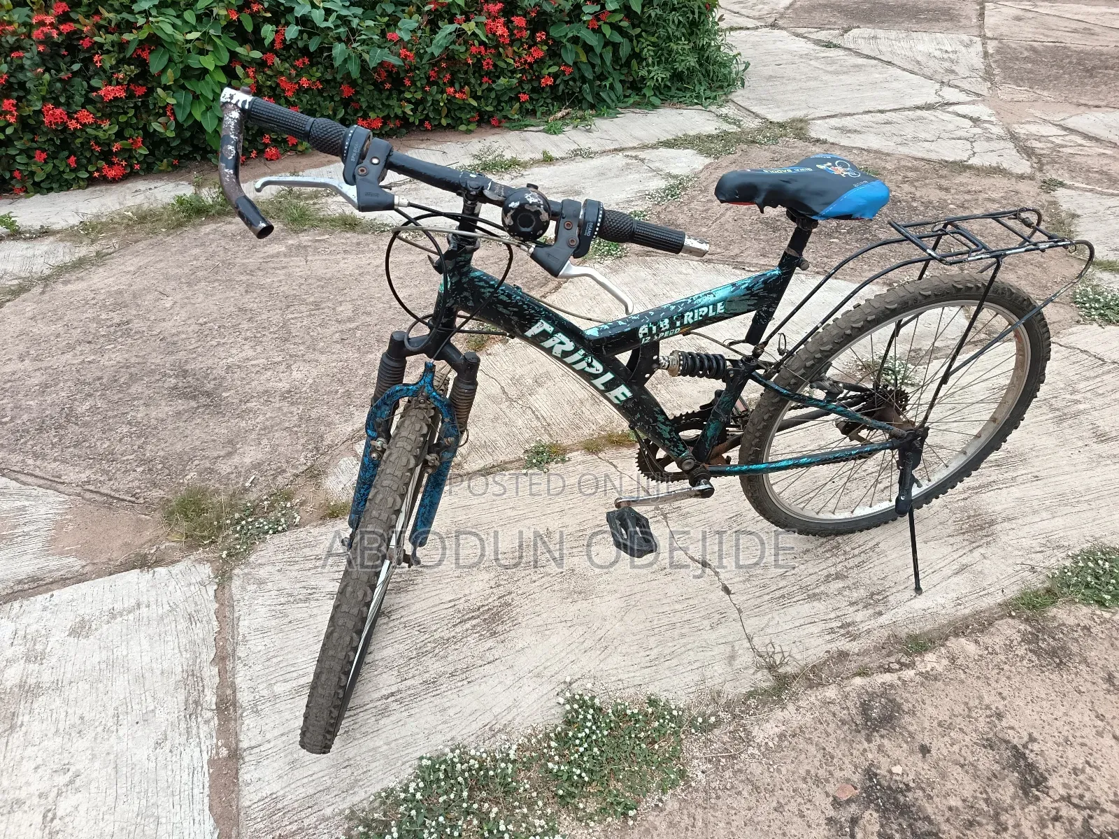 12 Speed Bicycle