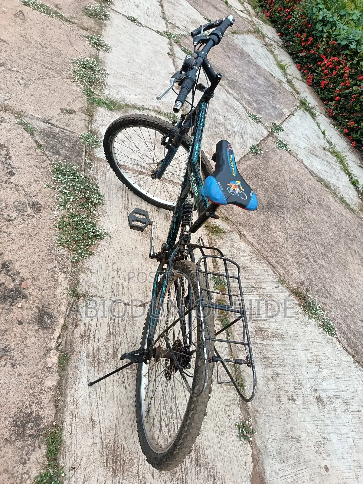 12 Speed Bicycle