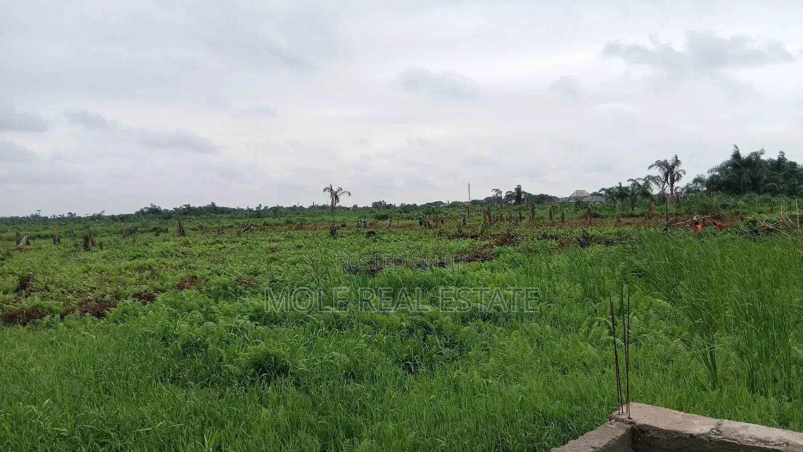 Stone Quarry Plant 4 Sale Lagos Ibadan Expressway