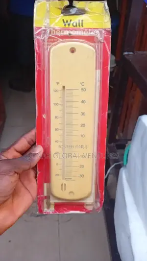 Wall Thermometer