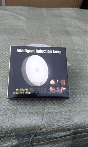 Intelligent Induction Light