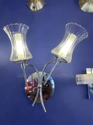 Double Silver Wall Bracket