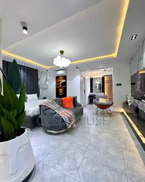 Luxurious and Spacious Studio Apartment With Mini Gym