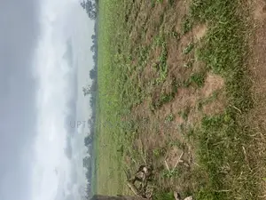 Uprroted Farmland for Sale in a Secure Location at Cheaper Rate