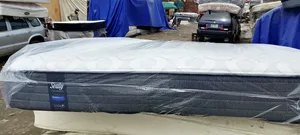6by6 10inches With Good Pocket Spring