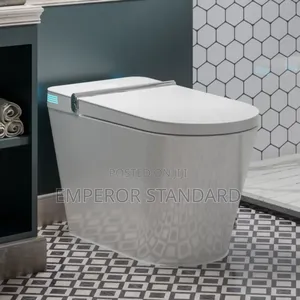 Luxury Smart Toilet Wc Flushing With Built Tank Battery or Electric