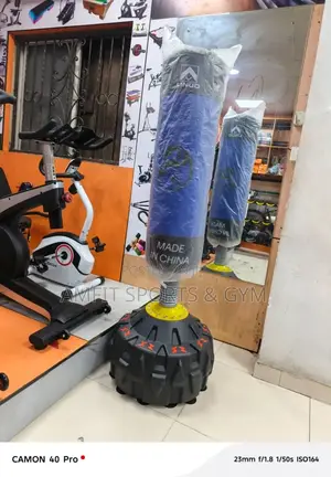 Standing Punching Bag