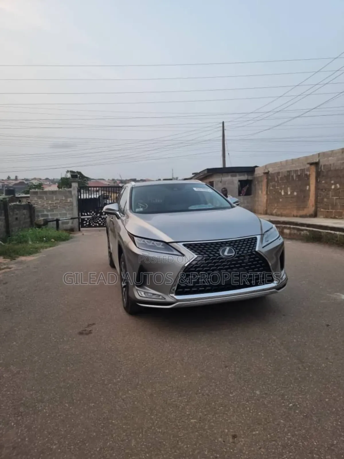 Lexus RX 2021 Gray