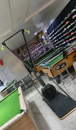 Luxury Ski Exercise Machine
