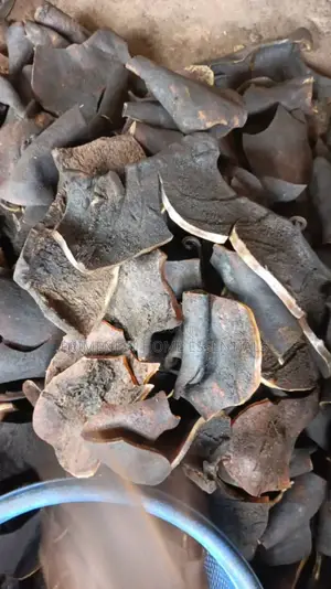 Big Ponmo Ijebu Bajaj 50 PCS