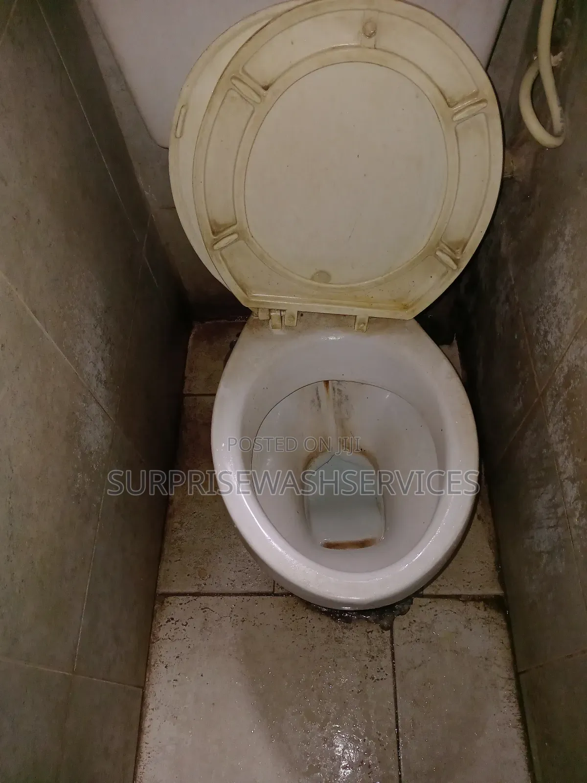 Cleaning and Fumigation Services