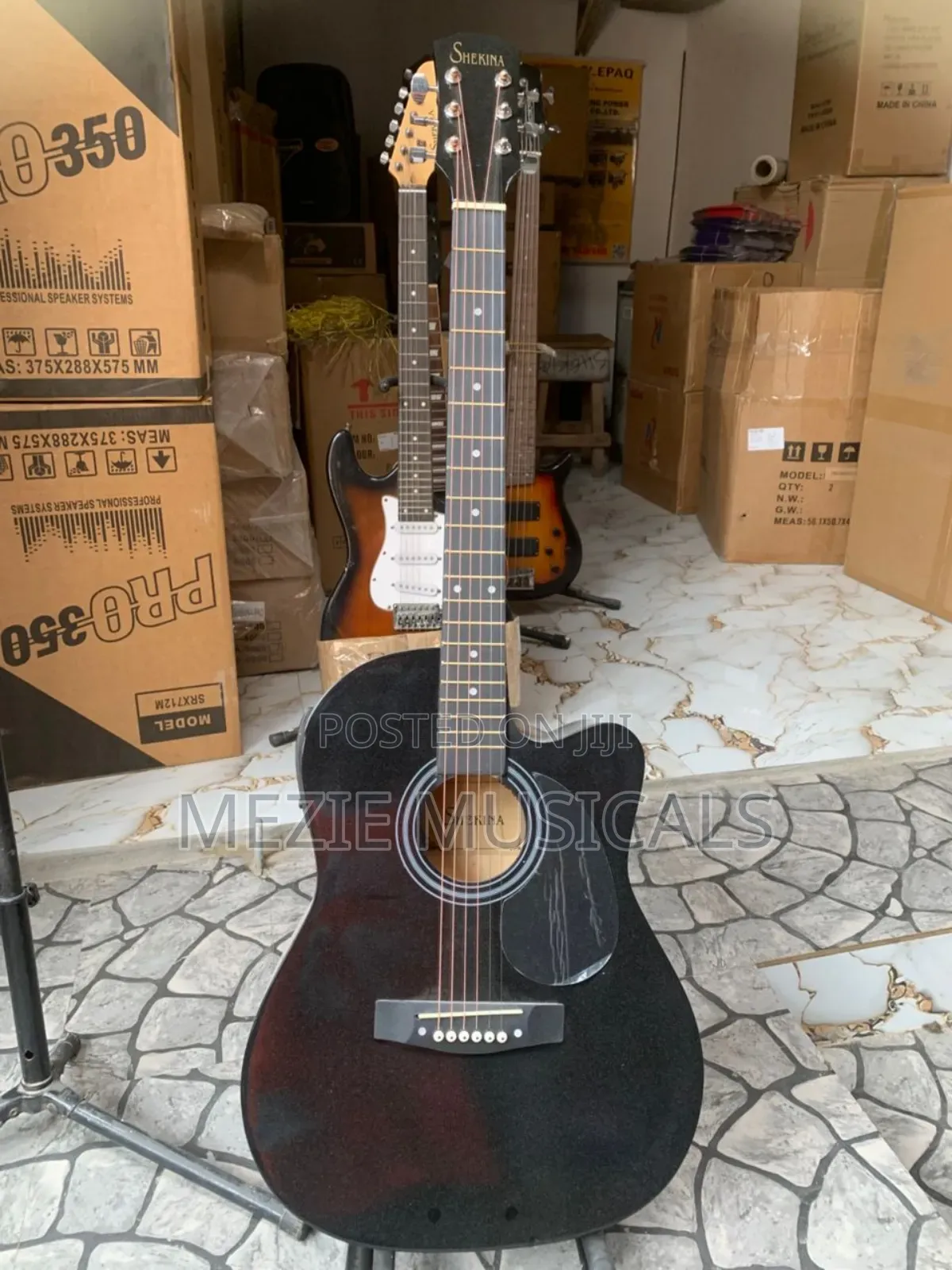 Semi Acoustic Guitar