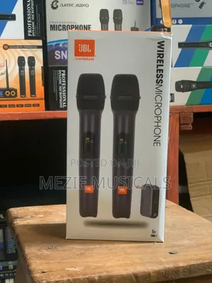 Portable Wireless Microphone