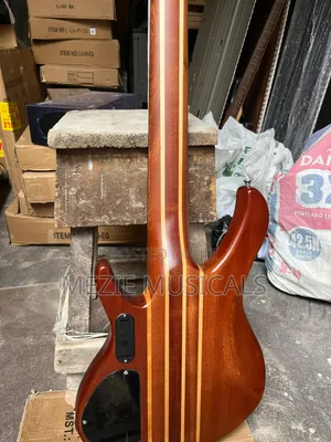Bass Guitar