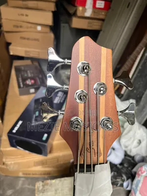 Bass Guitar