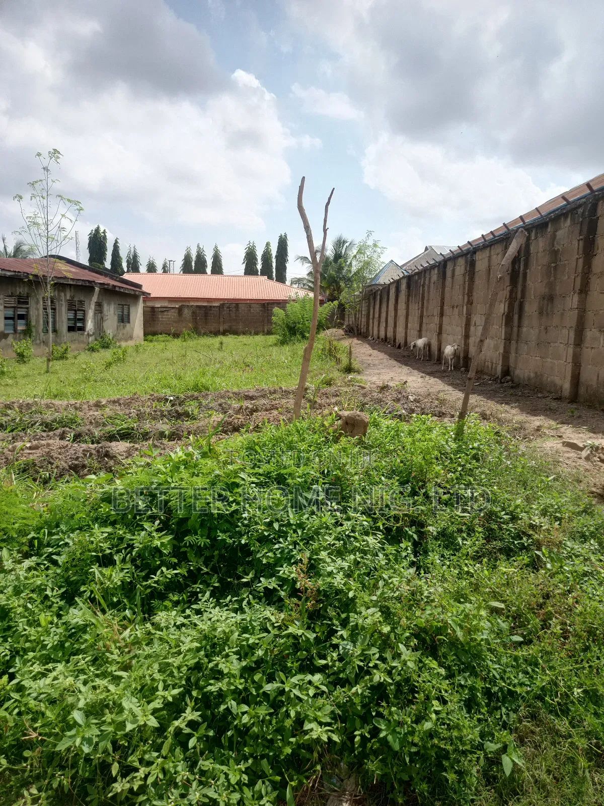 Plot of Land