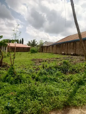 Plot of Land