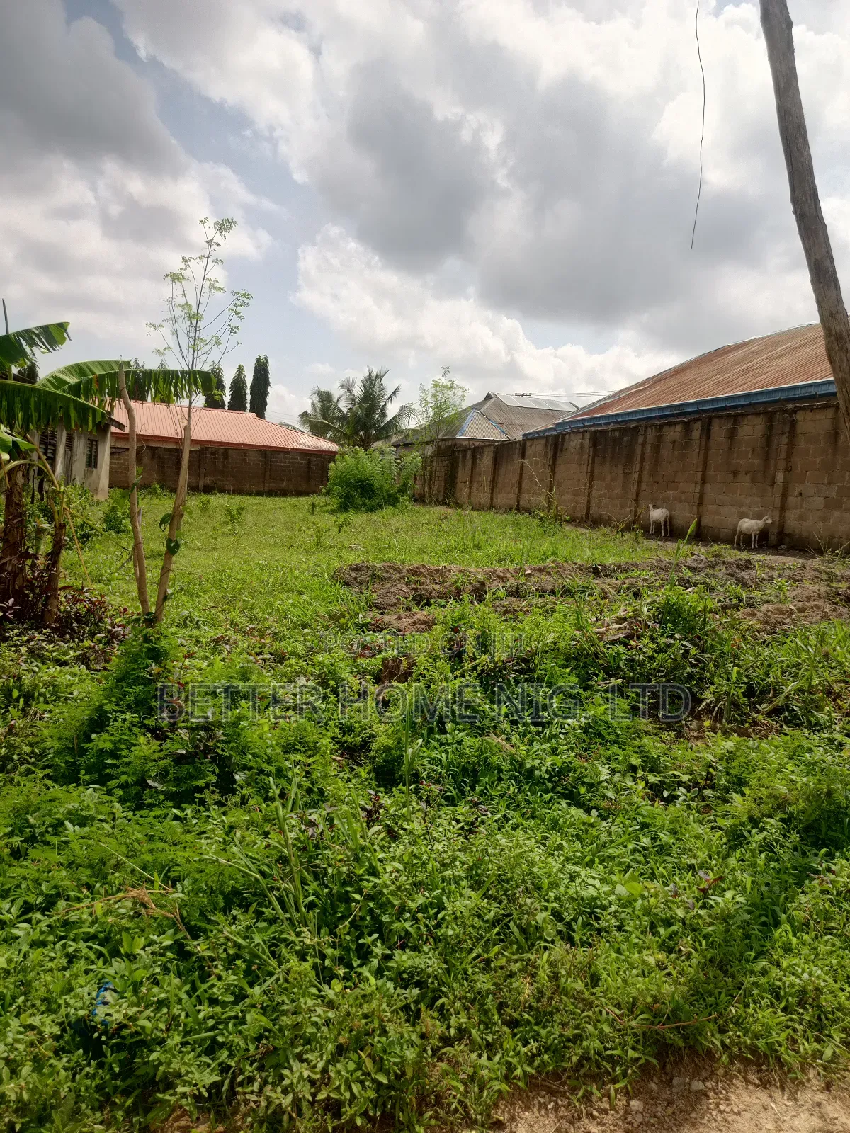 Plot of Land