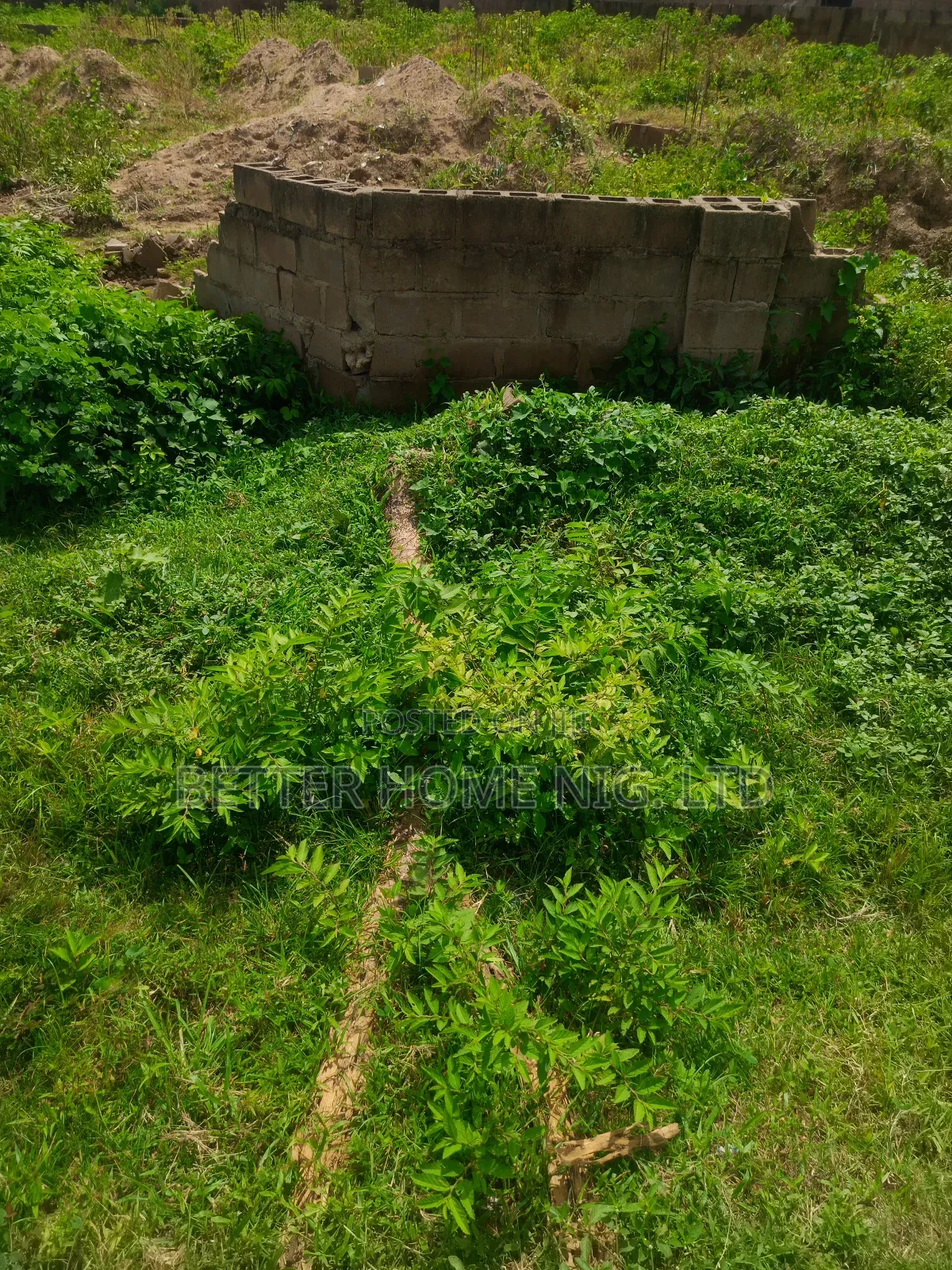 Plot of Land