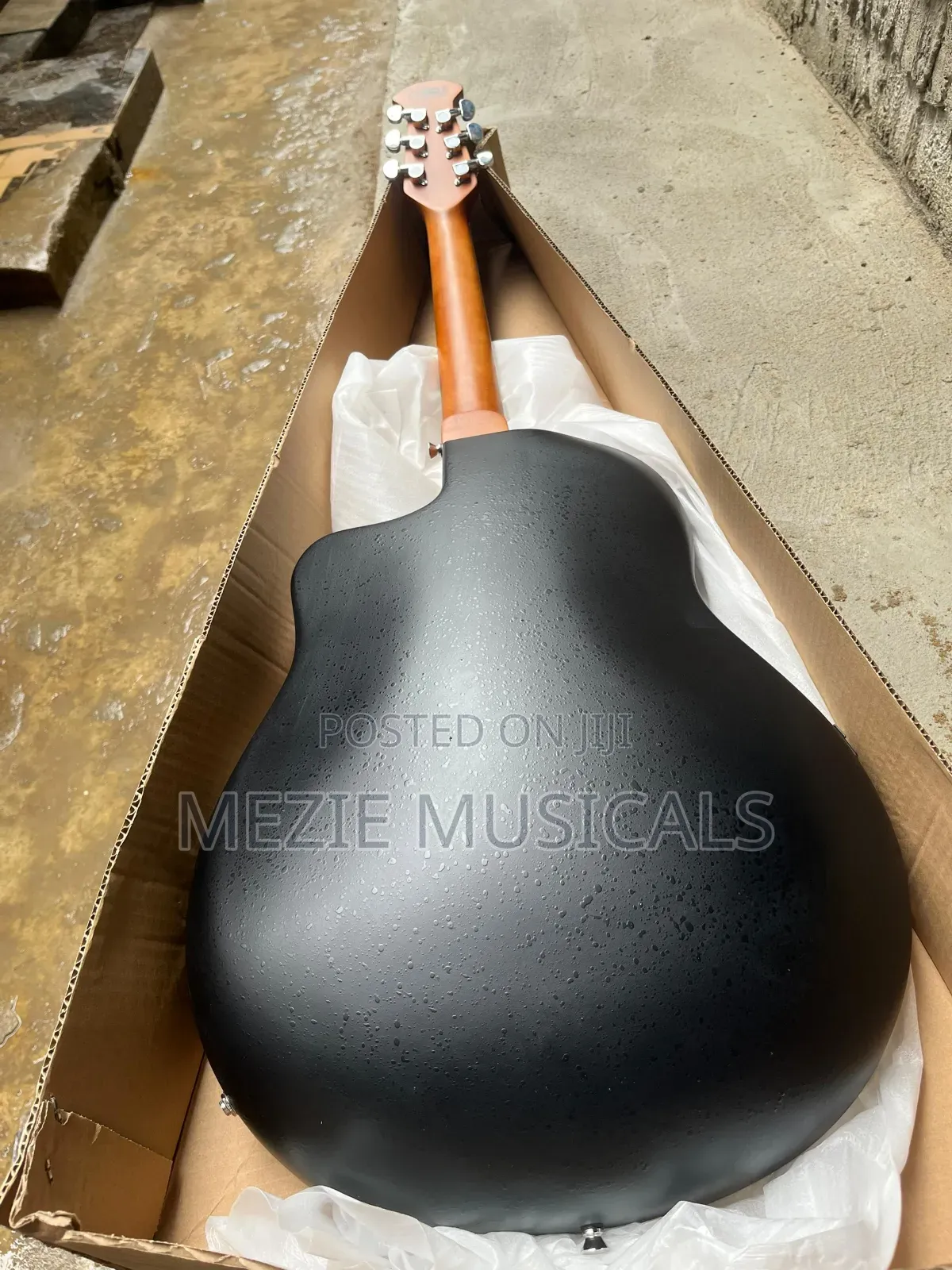 Semi Acoustic Guitar
