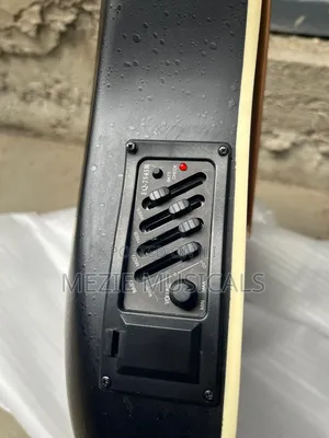 Semi Acoustic Guitar