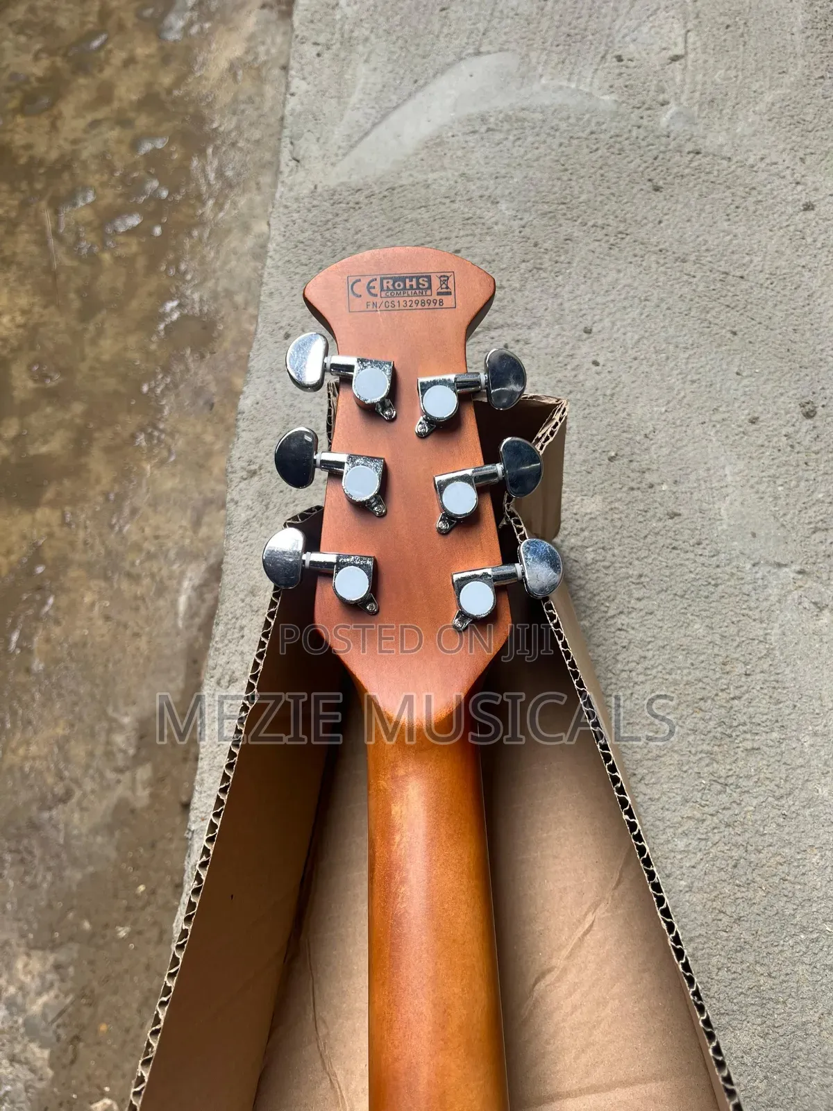 Semi Acoustic Guitar