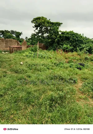 A Plot of Land