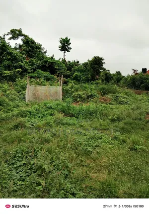 A Plot of Land