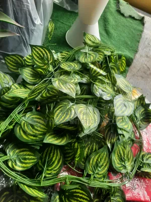 Dropping Flowers for Decorations Available