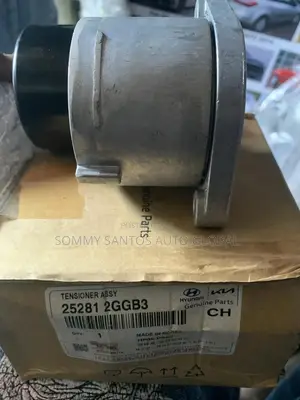 Belt Roller for Hyundai Sonata 2016 Available