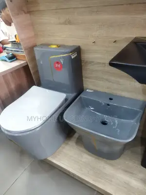 Gray Water Closets With Hanging Basin