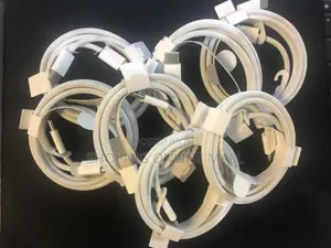 Original Apple Type C to Type C Cable