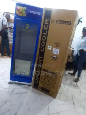 Snowsea Chiller 300l – Perfect for Frozen Goods