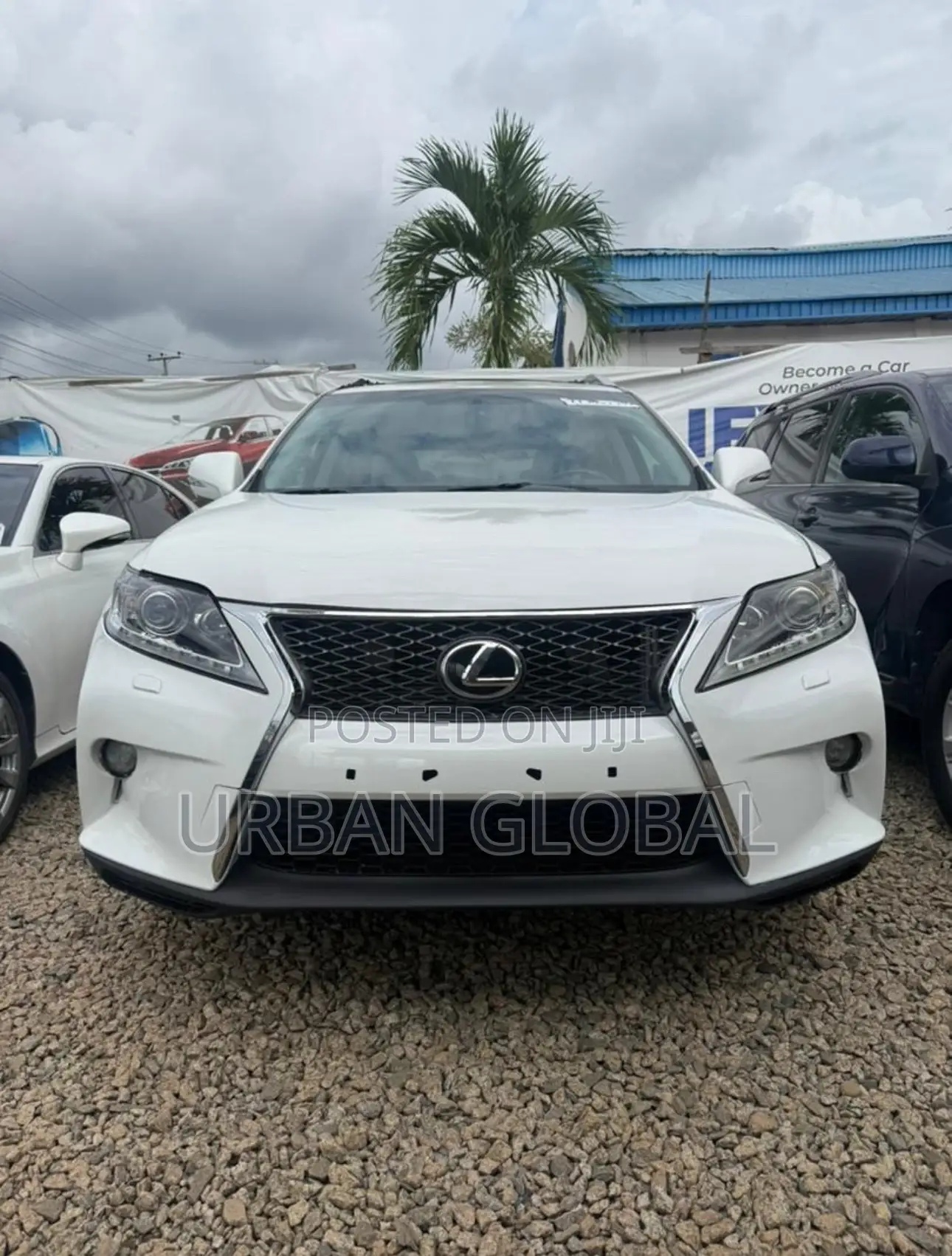 Lexus RX 2010 White