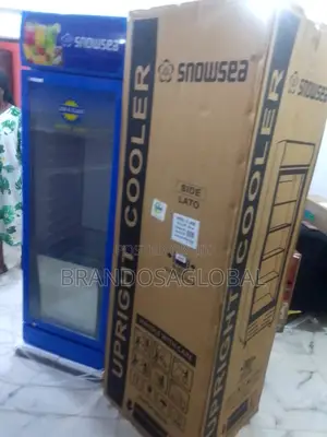 Snowsea Lc-300 – Chill Drinks, Store Frozen Items
