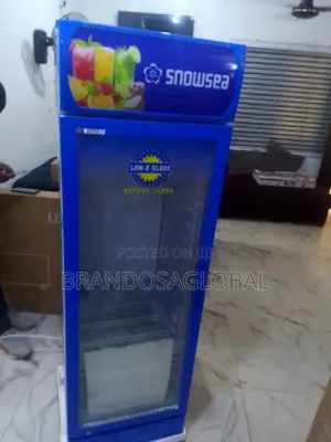 Snowsea 300l – Cold Chain Solution for Business