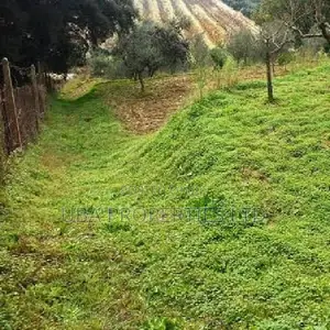 2 Hectares of Land in Katampe Main for Sale