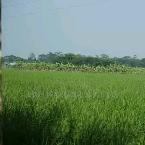 5000sqm Land Along Dutse Bwari Road Katampe Axis Abuja