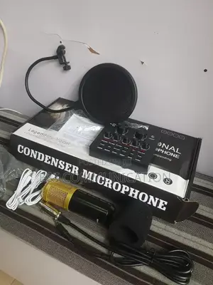 Professional Condenser Microphone.