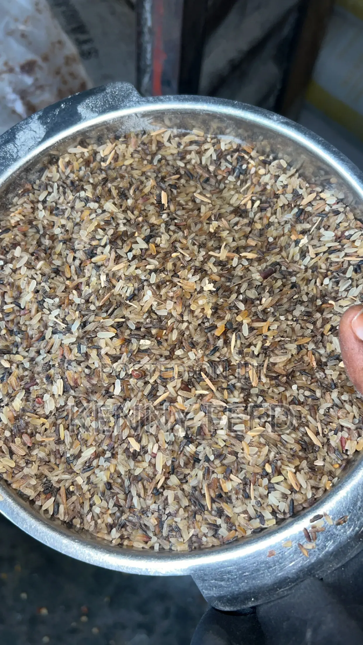 Dog Sweet Rice
