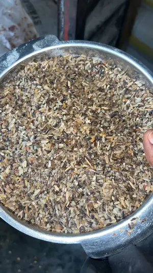 Dog Sweet Rice