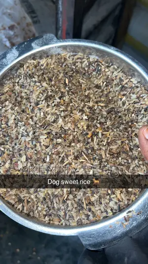 Dog Sweet Rice