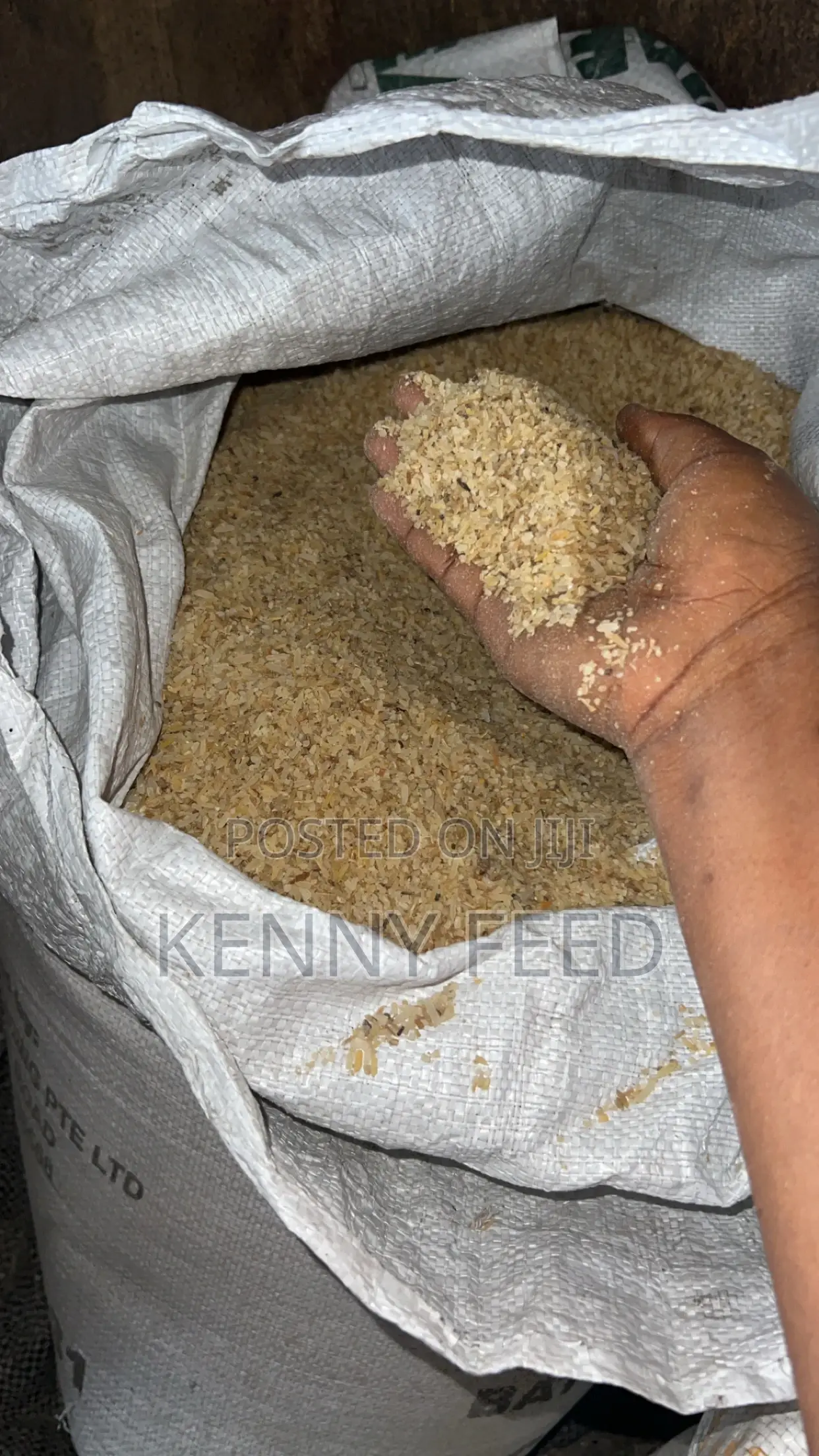Dog Sweet Rice