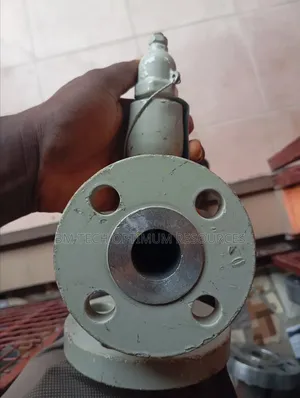 Thermal Relief Valve, Stainless Steel Dn 1 Inch