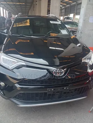 Toyota RAV4 XLE AWD (2.5L 4cyl 6A) 2017 Black