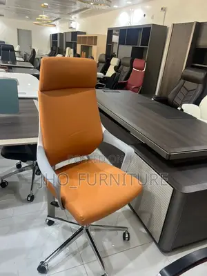 Executive Director Chair