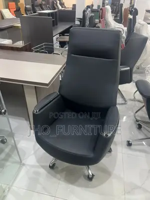 Executive Director Chair