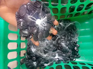 High-Quality Natural Pebble Stones
