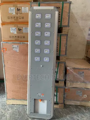 All In One Felicity 80 Watts D2 Solar Street Light